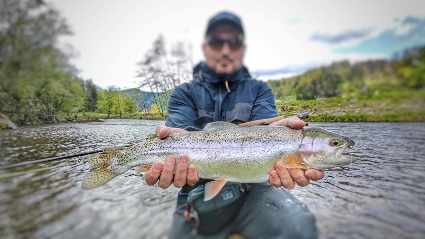 river rainbow sm.